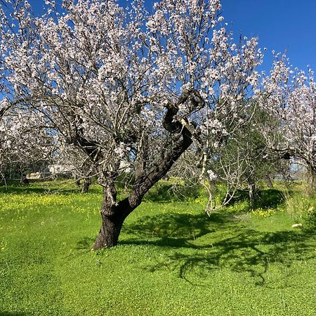 Вилла Casa Tranquila Barrada Алкотин Экстерьер фото